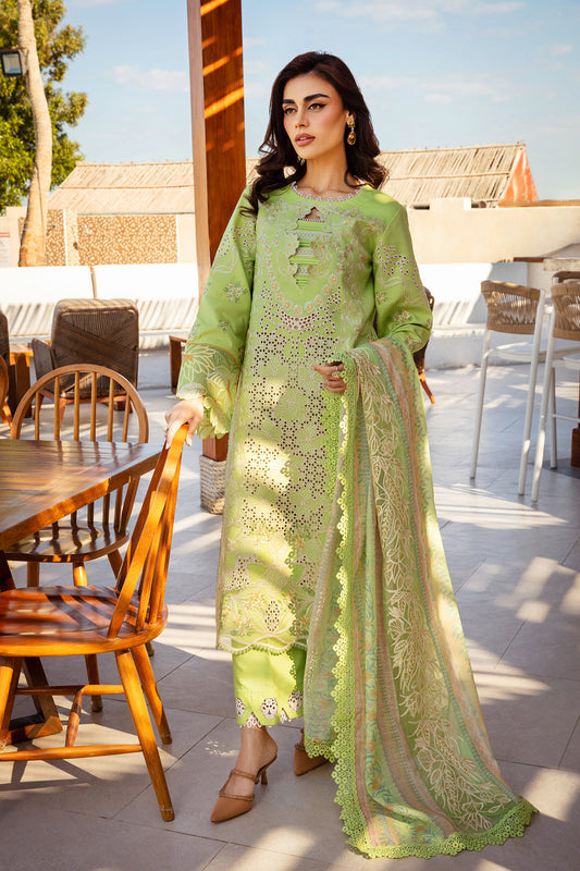 Rang Rasiya Premium Lawn 2025 | D-12