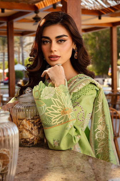 Rang Rasiya Premium Lawn 2025 | D-12