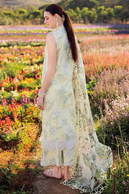 Jade Flora 3 Pc Lawn Embroidered Collection 2025 - 20655