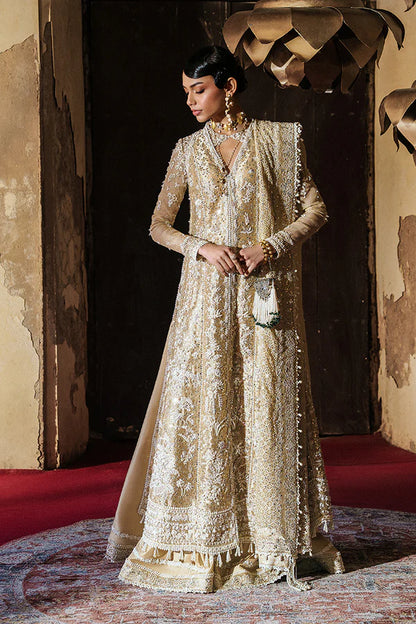 FREESIA BY SUFFUSE WEDDING COLLECTION'26 | GULRAIZ