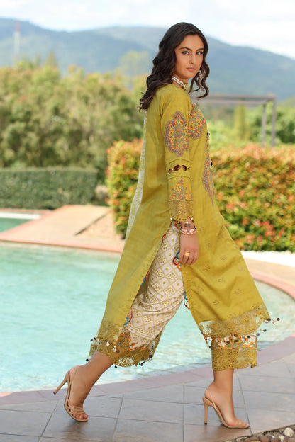 ANIQ BY CHARIZMA VOL-1 UNSTITCHED'26| AN6-01