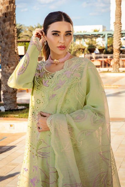 Rang Rasiya Premium Lawn 2025 | D-05