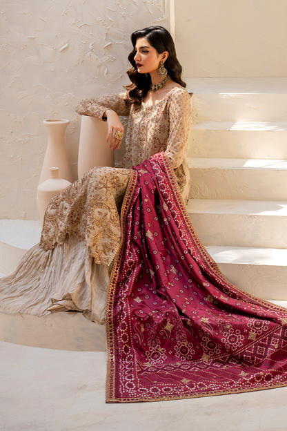 Iznik Formal Wear Collection 2024 – CC-44 Embroidered Chiffon