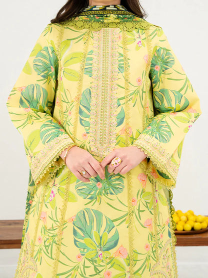 ANAYA BY MAHNUR UNSTITCHED'26 | ANA-017