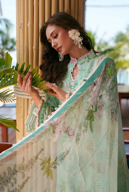 AJR PRINTED CHIKANKARI UNSTITCHED'26| ELIYA