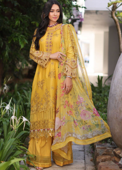 Noor By Saadia Asad Luxury Chikankari Lawn 2024 | NSA24C D-8B