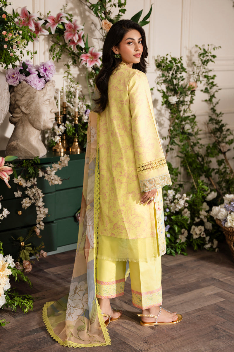 Rang Rasiya LIFESTYLE EMBROIDERED EDIT '24 Collection 2024 – Sun Kissed