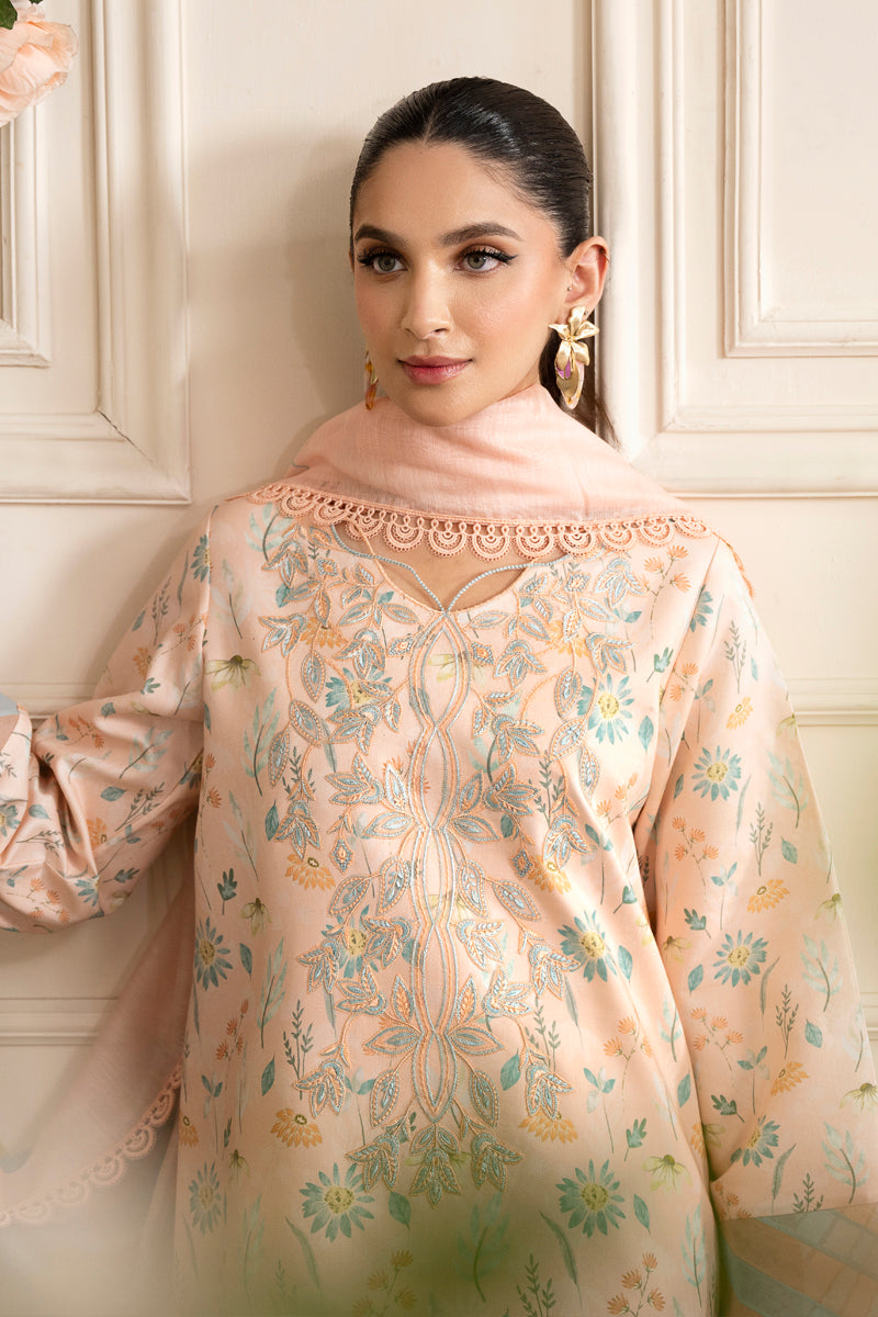 Rang Rasiya LIFESTYLE EMBROIDERED EDIT '24 Collection 2024 – Blush