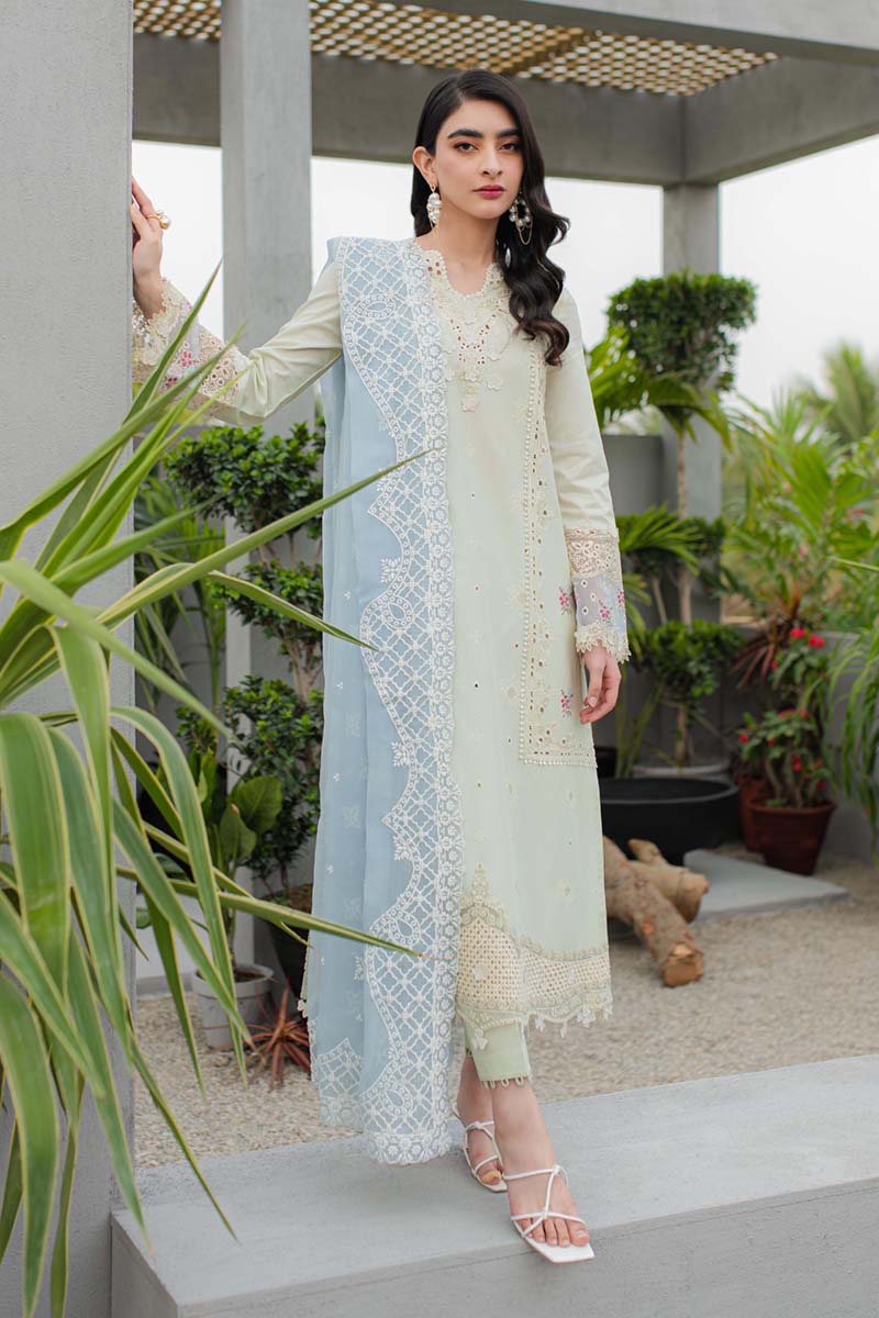 Qalamkar Qline Lawn Collection Collection 2024 – JK-04 ASTER