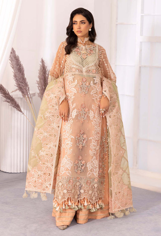 Adan's Chantelle Chiffon Collection 2024 – APRICOT AGATE