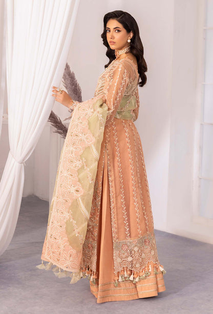 Adan's Chantelle Chiffon Collection 2024 – APRICOT AGATE