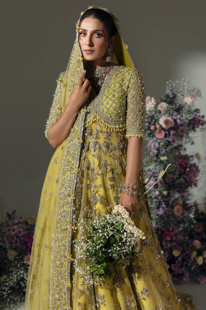 Elan Wedding Festive 2024 - LIME BLOSSOM EC24-03