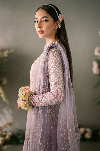 Mushq Mastani Evening Luxury Chiffon Collection 2024 – Alyana