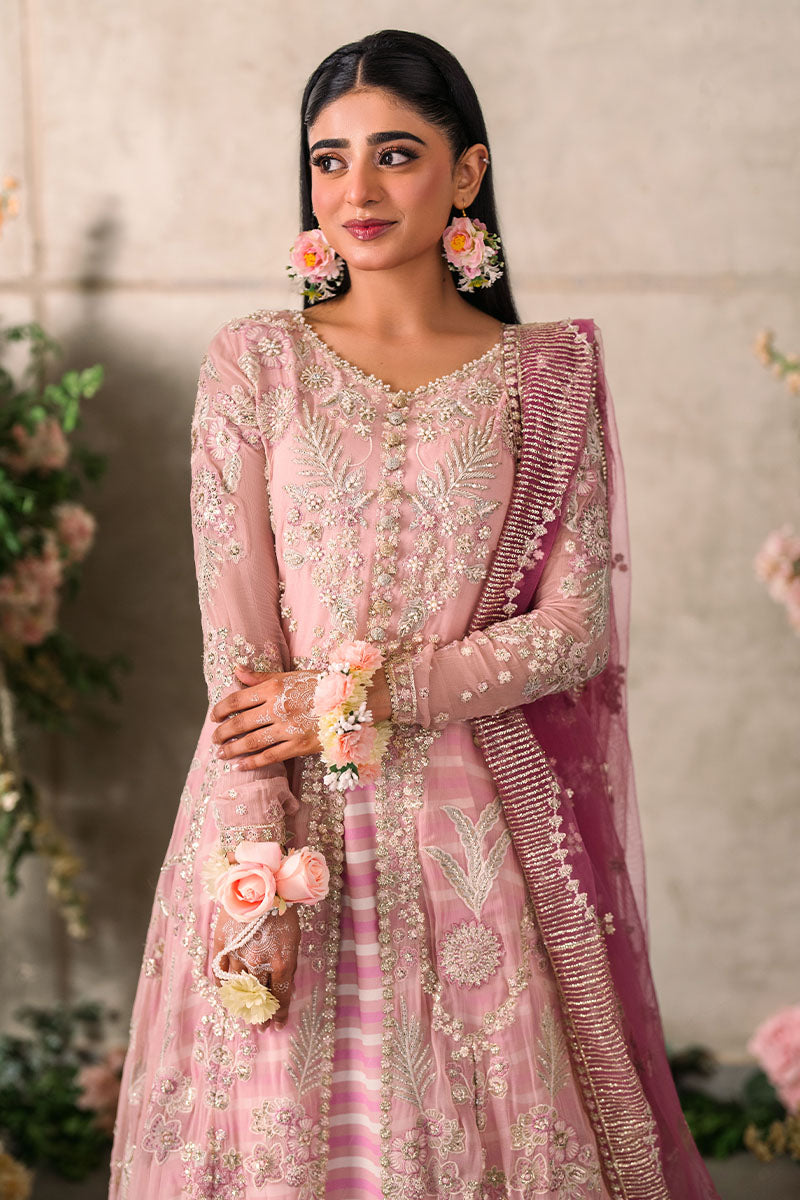 Mushq Mastani Evening Luxury Chiffon Collection 2024 – Maisha