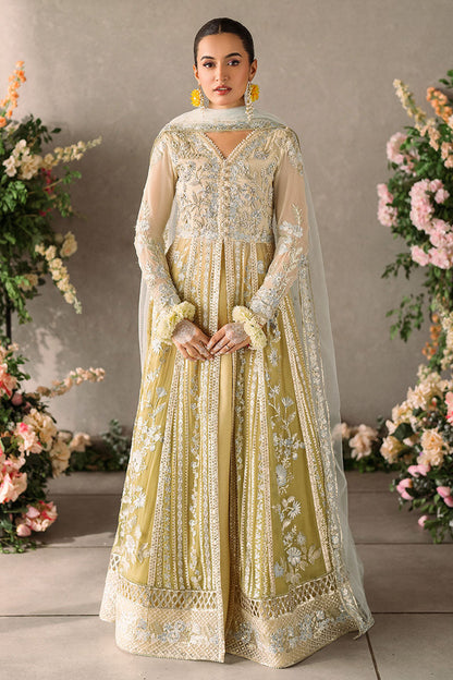 Mushq Mastani Evening Luxury Chiffon Collection 2024 – Hira