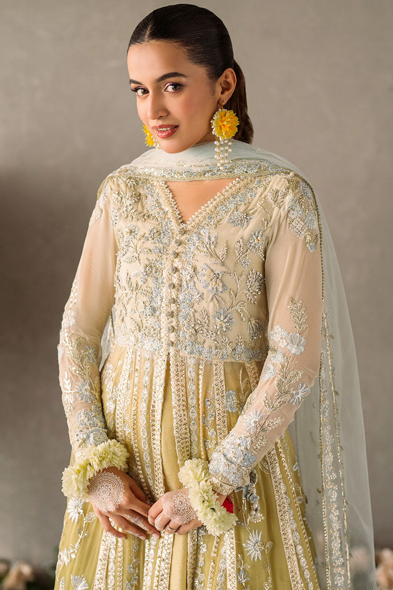 Mushq Mastani Evening Luxury Chiffon Collection 2024 – Hira