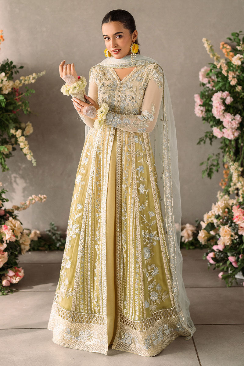 Mushq Mastani Evening Luxury Chiffon Collection 2024 – Hira