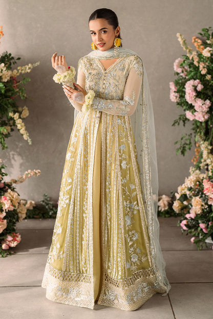 Mushq Mastani Evening Luxury Chiffon Collection 2024 – Hira