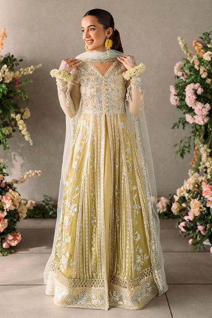 Mushq Mastani Evening Luxury Chiffon Collection 2024 – Hira