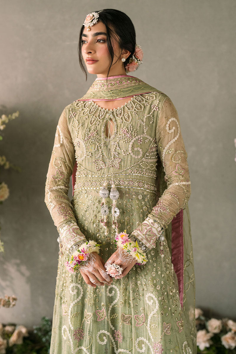 Mushq Mastani Evening Luxury Chiffon Collection 2024 – Namar