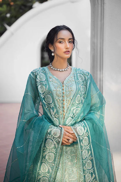 ROOHI BY MUSHQ STITCHED COLLECTION’25 | MEERA