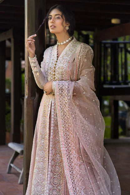 ROOHI BY MUSHQ STITCHED COLLECTION’25 | ANIKA