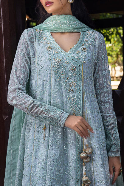 ROOHI BY MUSHQ STITCHED COLLECTION’25 | DIYA
