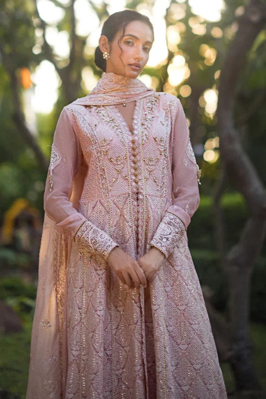 ROOHI BY MUSHQ STITCHED COLLECTION’25 | AANYA