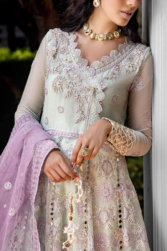 ROOHI BY MUSHQ STITCHED COLLECTION’25 | AARA