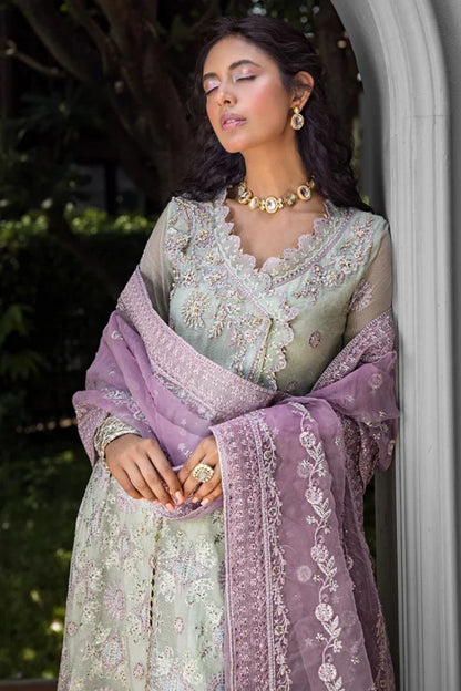ROOHI BY MUSHQ STITCHED COLLECTION’25 | AARA