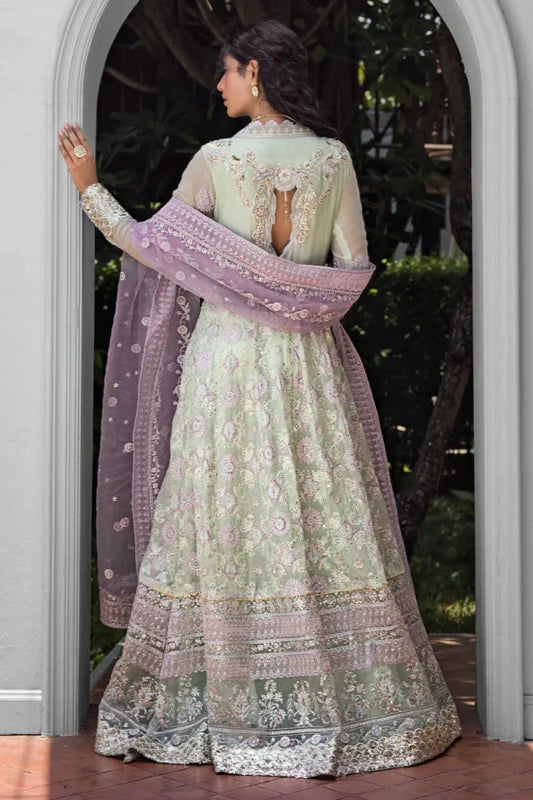 ROOHI BY MUSHQ STITCHED COLLECTION’25 | AARA