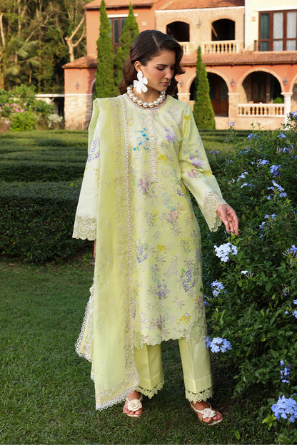RANGRASIYA FLORENCE LAWN UNSTITCHED'26| Misha