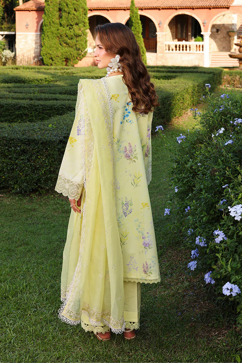 RANGRASIYA FLORENCE LAWN UNSTITCHED'26| Misha