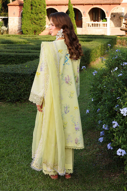 RANGRASIYA FLORENCE LAWN UNSTITCHED'26| Misha