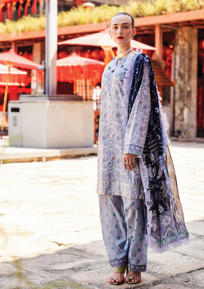 Roheenaz Unstitched Taneez Block Print Collection 2025 | AFSANEH