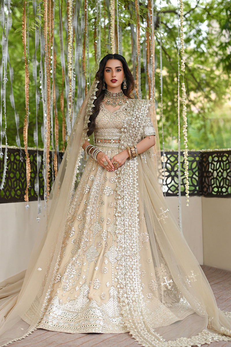 QALAMKAR WEDDING FORMAL Collection 2024 – RF-06 ROOP