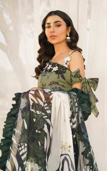 ASIFA & NABEEL MERAKI PRINTED LAWN Vol-01 2024 | U141M011