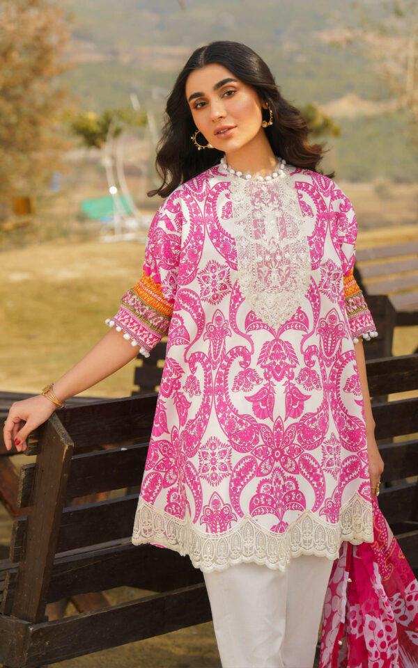 ASIFA & NABEEL MERAKI PRINTED LAWN Vol-01 2024 | U141M013