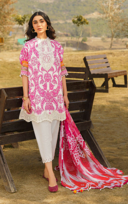 ASIFA & NABEEL MERAKI PRINTED LAWN Vol-01 2024 | U141M013