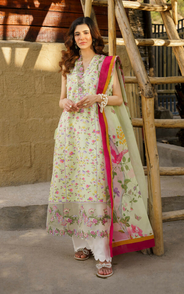 ASIFA & NABEEL MERAKI PRINTED LAWN Vol-01 2024 | U141M014