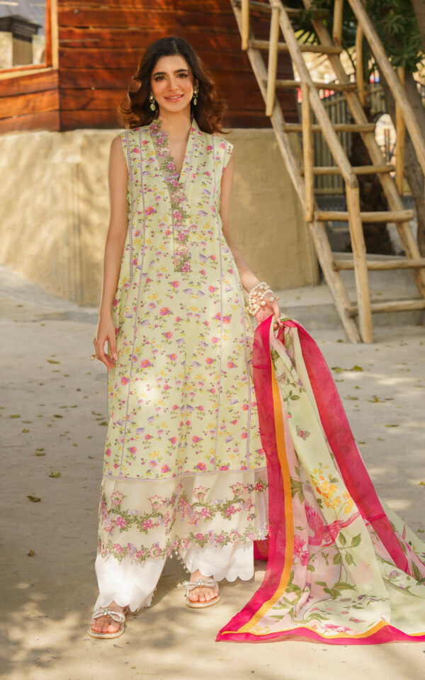 ASIFA & NABEEL MERAKI PRINTED LAWN Vol-01 2024 | U141M014