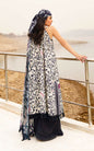 ASIFA & NABEEL MERAKI PRINTED LAWN Vol-01 2024 | U141M020