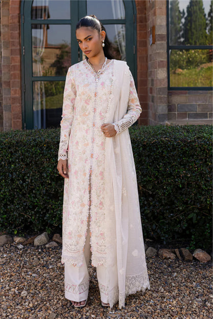 Qalamkar Qline Summer Collection 25 |FEEHA