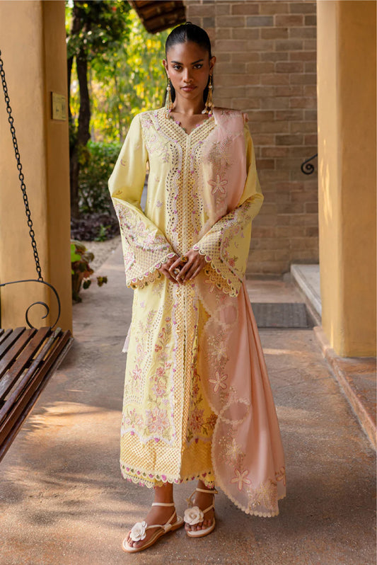 Qalamkar Qline Summer Collection 25 |INA