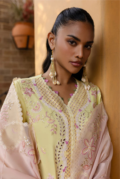 Qalamkar Qline Summer Collection 25 |INA