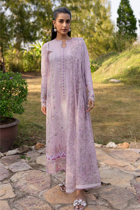 Qalamkar Qline Summer Collection 25 |CECILIA