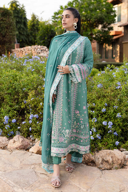 Qalamkar Qline Summer Collection 25 |OMI