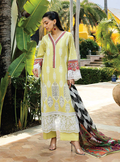 Zainab Chottani Chikankari Lawn 2025 - 12A