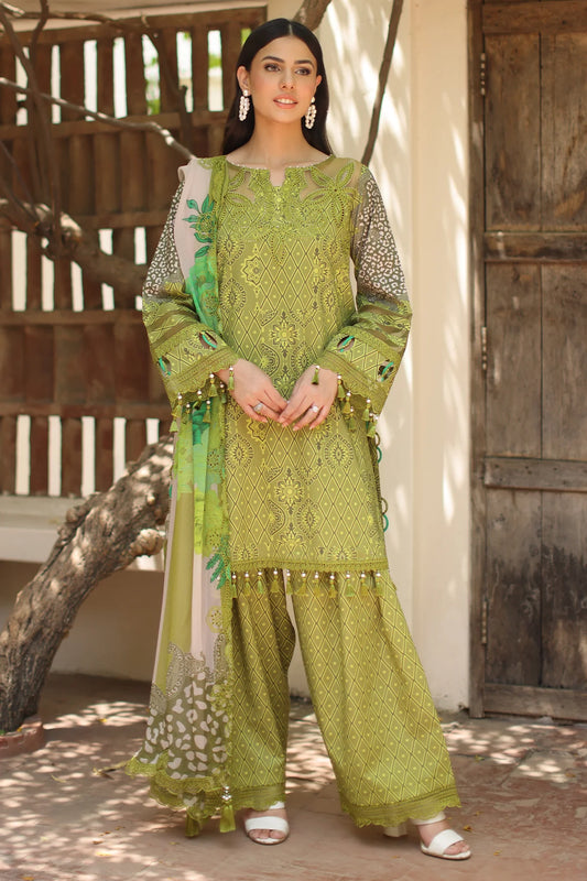 ANIQ BY CHARIZMA VOL-1 UNSTITCHED'26| AN6-08
