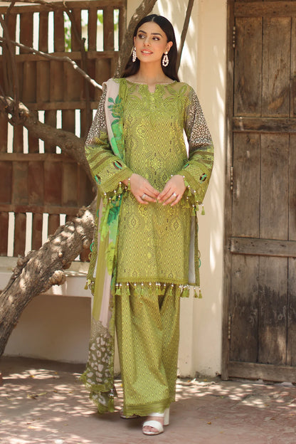 ANIQ BY CHARIZMA VOL-1 UNSTITCHED'26| AN6-08